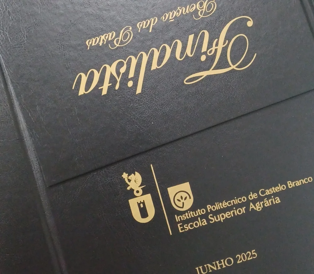 Pastas com personalização e fitas para assinalar a conclusão do percurso académico.
