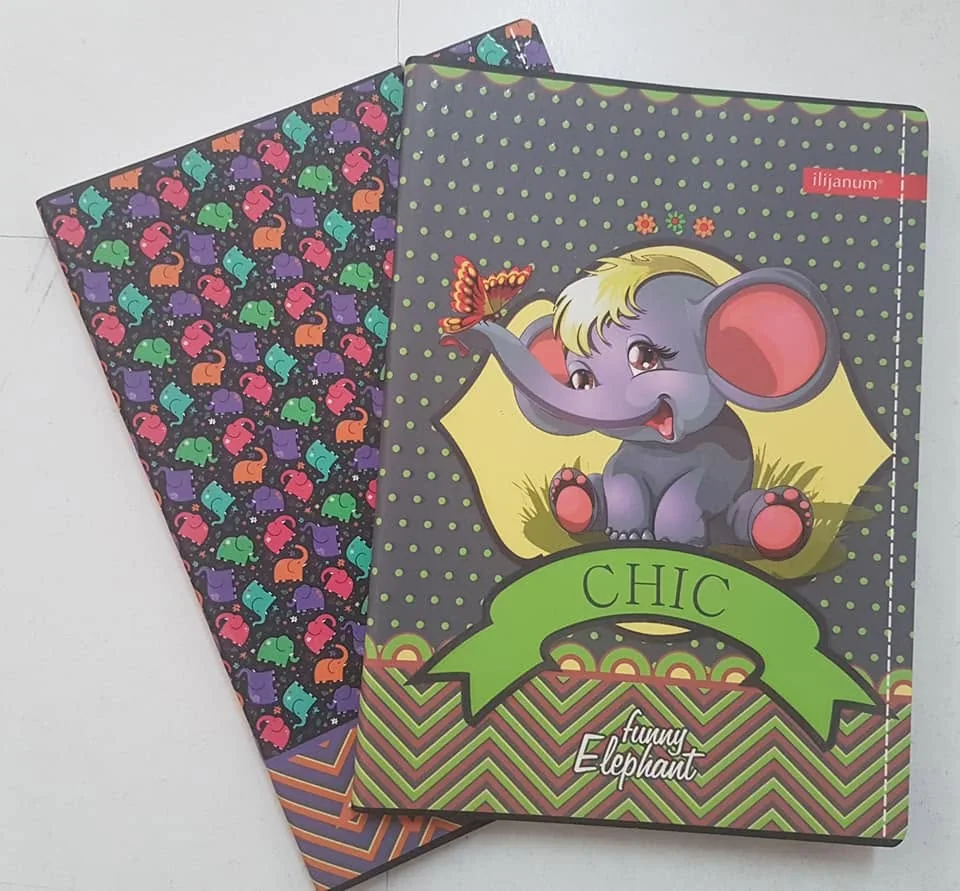Cadernos com capas ilustradas e diferentes padrões de personalização.