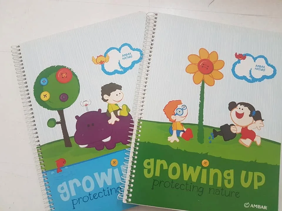 Cadernos com capas ilustradas e diferentes padrões de personalização.
